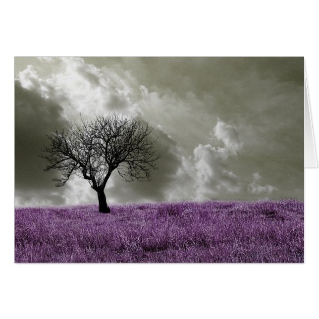 紫色のフィールド (正面横)