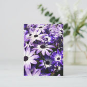 紫色のフィールド ポストカード (スタンド正面)