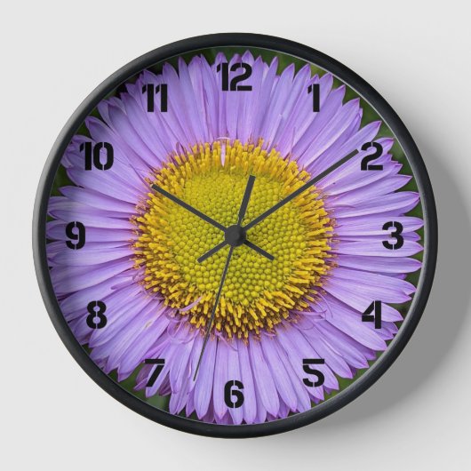 紫色のフラバーンデイジーと黒の数字フローラ 壁時計 (正面)
