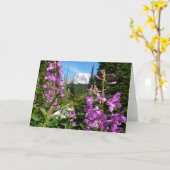 紫色のフロックスの花の間のマウントレイニア カード (黄色い花)