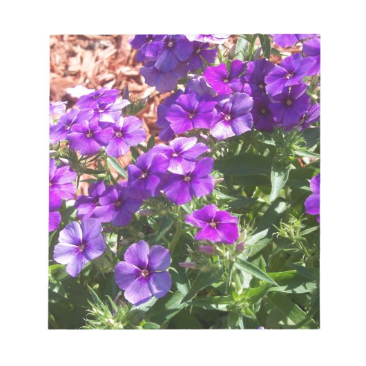 紫色のフロックスの花 ノートパッド (正面)