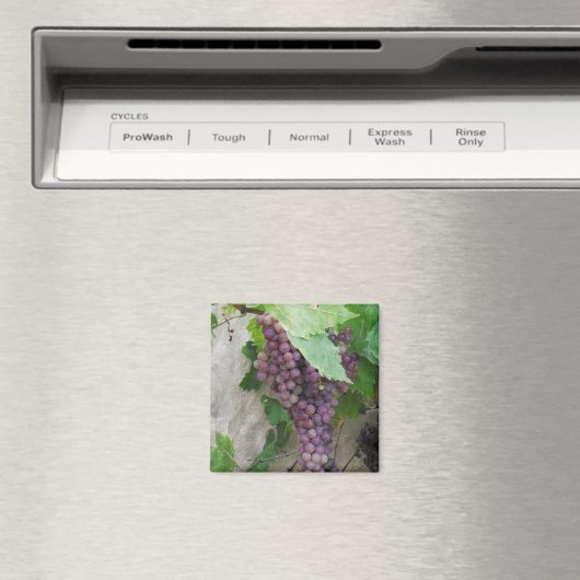 紫色のブドウのつる植物磁石 マグネット (インサイチュ (食洗機))