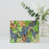 紫色のブドウ ポストカード (スタンド正面)