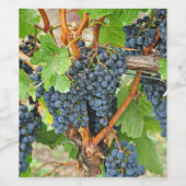 紫色のブドウ ワインラベル (シングルラベル)