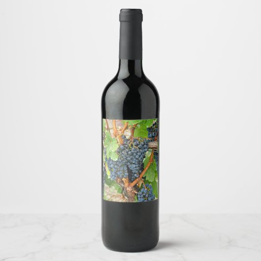 紫色のブドウ ワインラベル (正面)