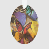紫色のブルゴーニュ色のオレンジ色の熱帯蝶 オーナメント (裏面)