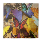 紫色のブルゴーニュ色のオレンジ色の熱帯蝶 タイル (正面)