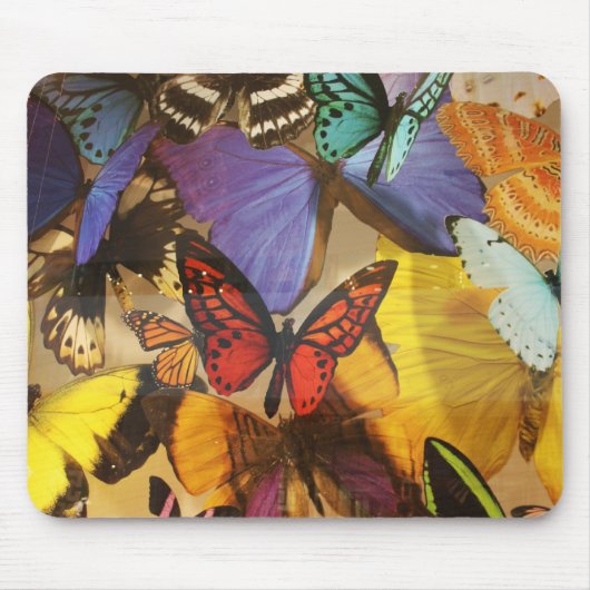 紫色のブルゴーニュ色のオレンジ色の熱帯蝶 マウスパッド (正面)