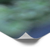 紫色のベニバナの蝶 ポスター (角)