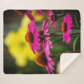 紫色のベニバナ シェルパブランケット (正面(横))