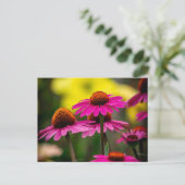 紫色のベニバナ ポストカード (スタンド正面)