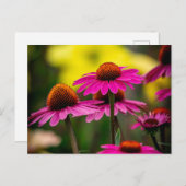 紫色のベニバナ ポストカード (正面/裏面)