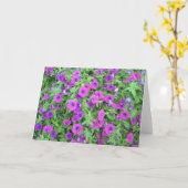 紫色のペチュニアの挨拶状 カード (黄色い花)