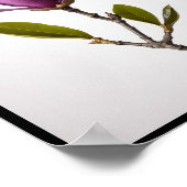 紫色のマグノリアの花マグノリアfelixウォールポスター ポスター (角)