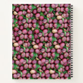 紫色のマンゴスチン熱帯果実 ノートブック (裏面)