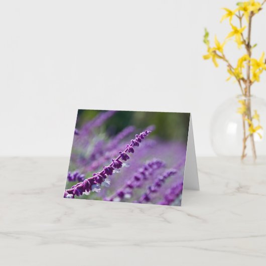紫色のメキシコ賢人 カード (黄色い花)