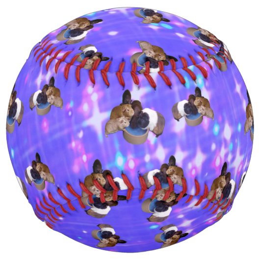 紫色のモルモット輝くソフトボール ソフトボール (正面)