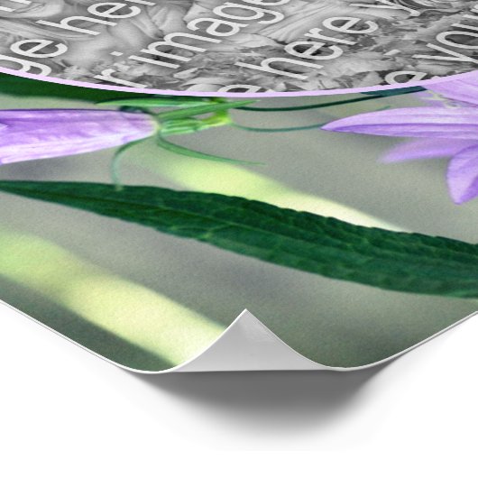 紫色のユリの花のフレーム独自の写真を作成 ポスター (角)