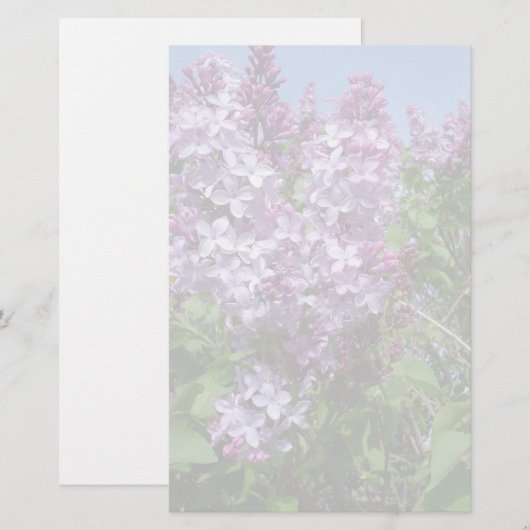 紫色のライラックFade25 便箋 (正面/裏面)