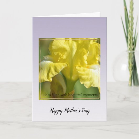 紫色のラベンダーの花の美しい瞬間カード カード (正面)