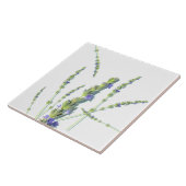 紫色のラベンダーの花 タイル (側面)