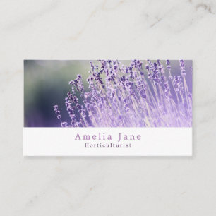 紫色のラベンダー、庭師、園芸家 名刺