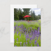 紫色のラベンダー、赤い傘 ノートカード (正面/裏面)
