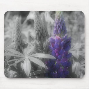 紫色のルピネの花と黒のマウスパッド マウスパッド