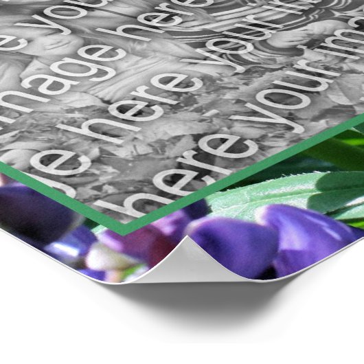 紫色のルピネの花枠あなたの写真を追加 ポスター (角)