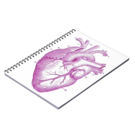 紫色のヴィンテージのハートの解剖学 ノートブック (左側)