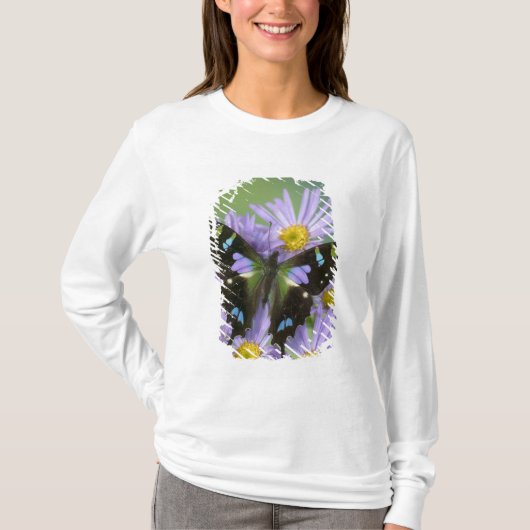 紫色の上の蝶 Tシャツ (正面)