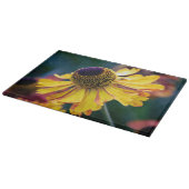 紫色の中心を持つ鮮やかな黄色のヘレニウム カッティングボード (角)