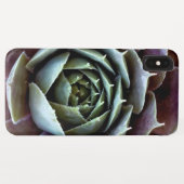 紫色の多肉植物のクローズアップ Case-Mate iPhoneケース (裏面(横))