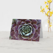 紫色の多肉質のクローズアップ カード (黄色い花)
