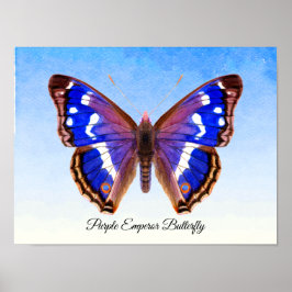 紫色の天皇蝶の水色絵画のプリント ポスター
