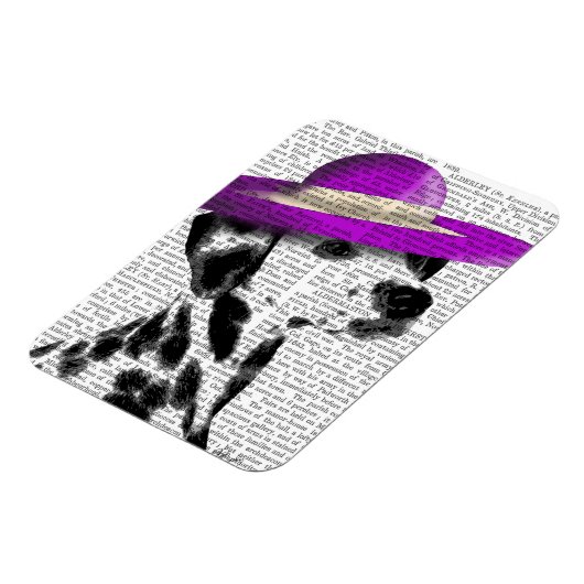 紫色の広い縁取り帽子を持つダルマチア マグネット (左側)