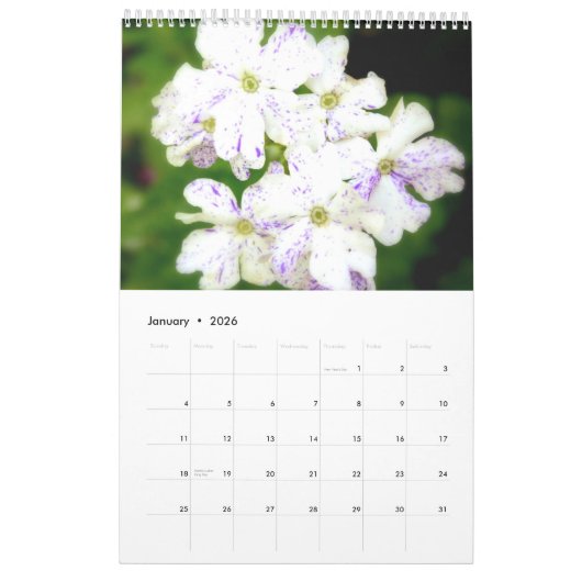 紫色の庭2013年 カレンダー (1月 2026)