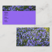 紫色の庭 名刺 (正面/裏面)