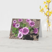 紫色の情熱のバースデー・カード カード (黄色い花)