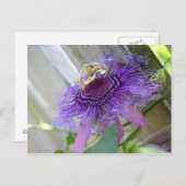 紫色の情熱の熱帯花が近くに咲く ポストカード (正面/裏面)
