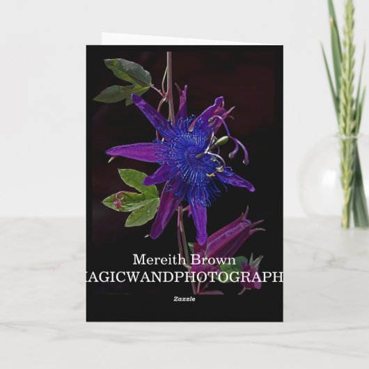 紫色の情熱 カード (裏面)