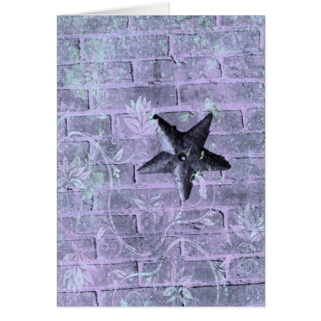 紫色の星 (正面)