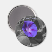 紫色の朝顔のマグネット マグネット (正面/裏面)