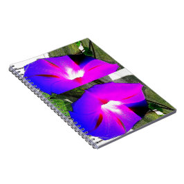 紫色の朝顔の花の螺線形ノート ノートブック