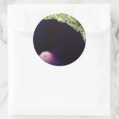 紫色の朝顔の花シール ラウンドシール (バッグ)