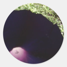 紫色の朝顔の花シール ラウンドシール