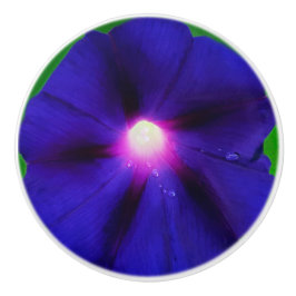 紫色の朝顔の花 セラミックノブ