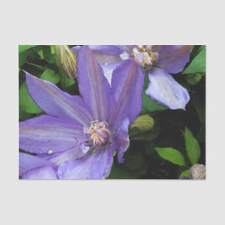 紫色の朝顔の花Decoupage 薄葉紙