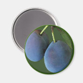 紫色の梅の水色 – マグネット (正面/裏面)