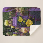 紫色の棘のあるナシのサボテン黄色の花 シェルパブランケット (正面(横))